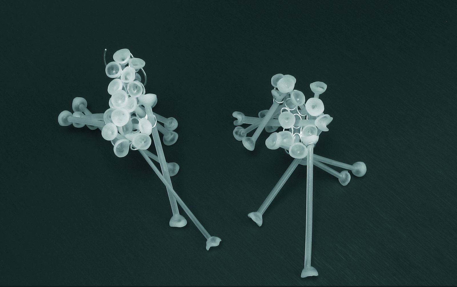 Boucle d’oreille — Evolution, vue 3