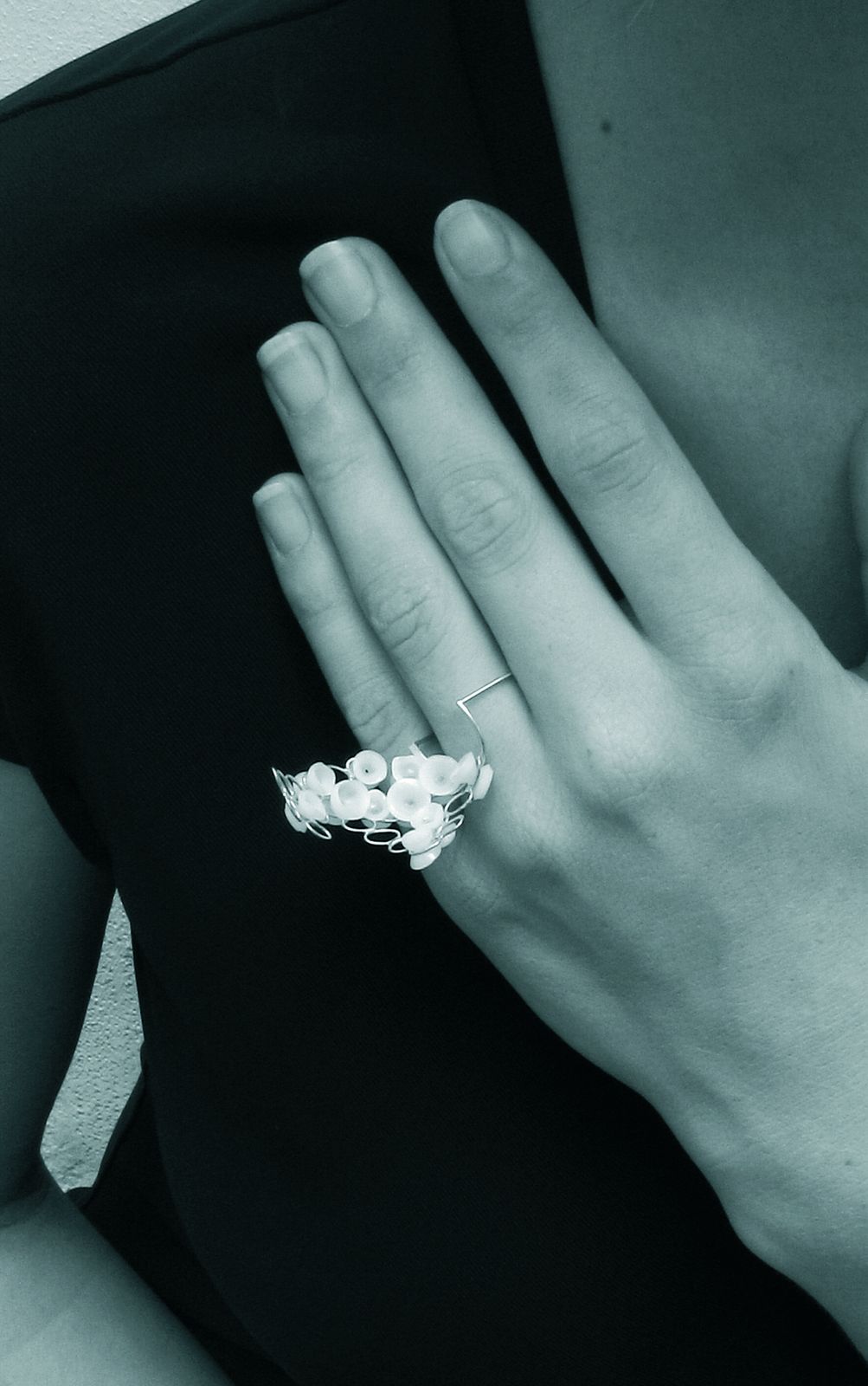 Bague — Evolution, vue 1