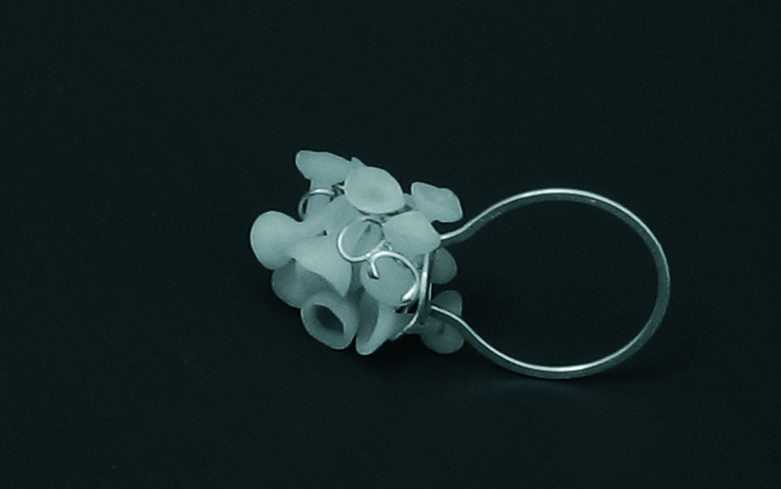 Bague — Evolution, vue 2