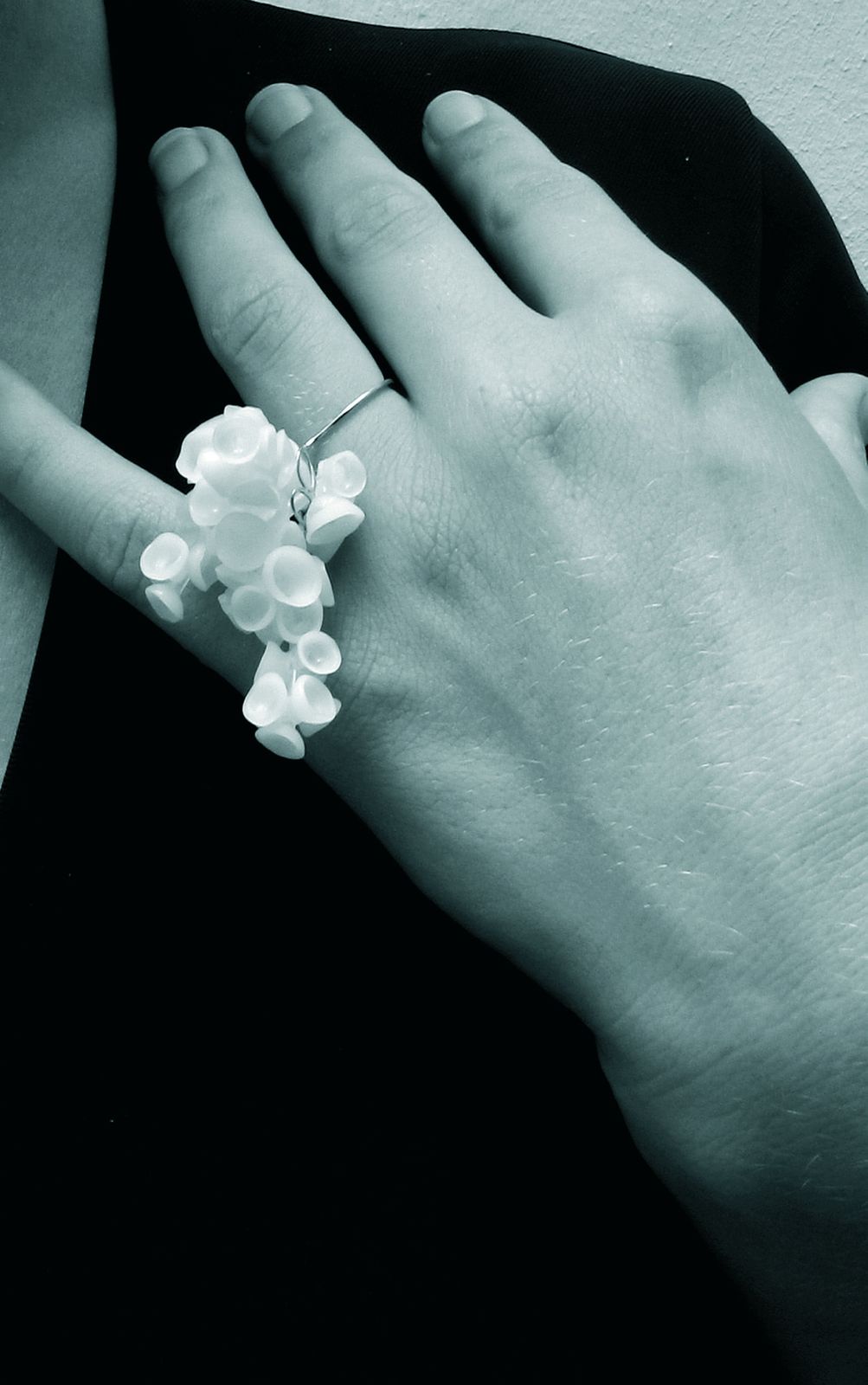 Bague — Evolution, vue 3