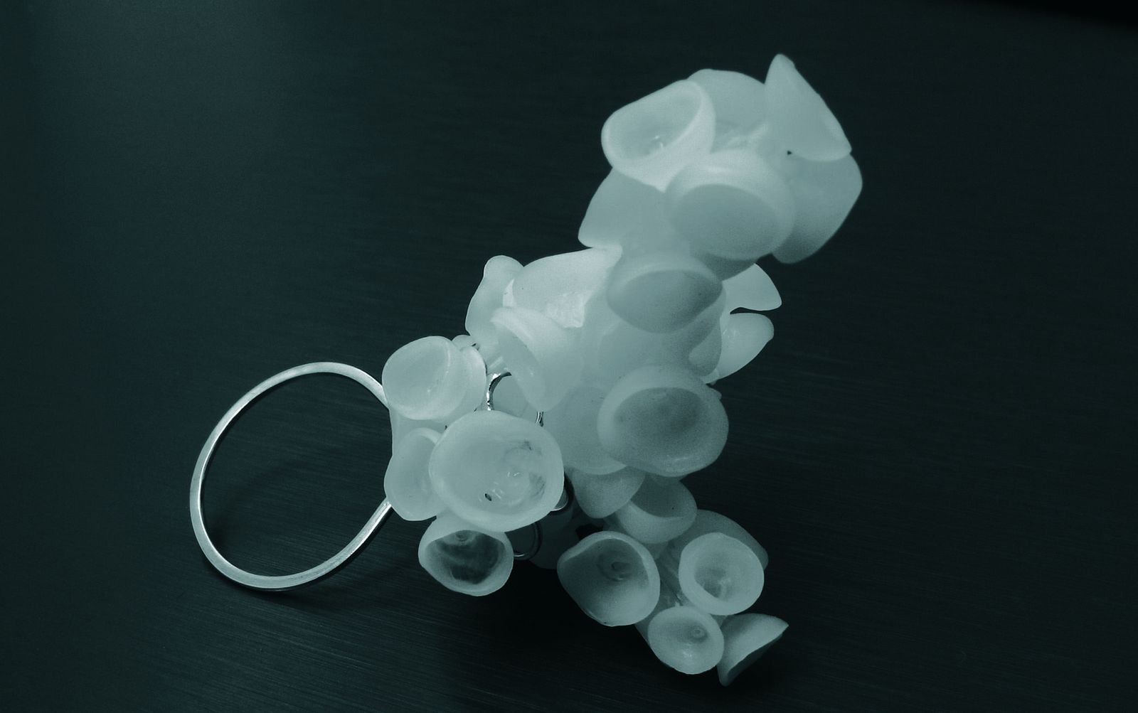 Bague — Evolution, vue 4