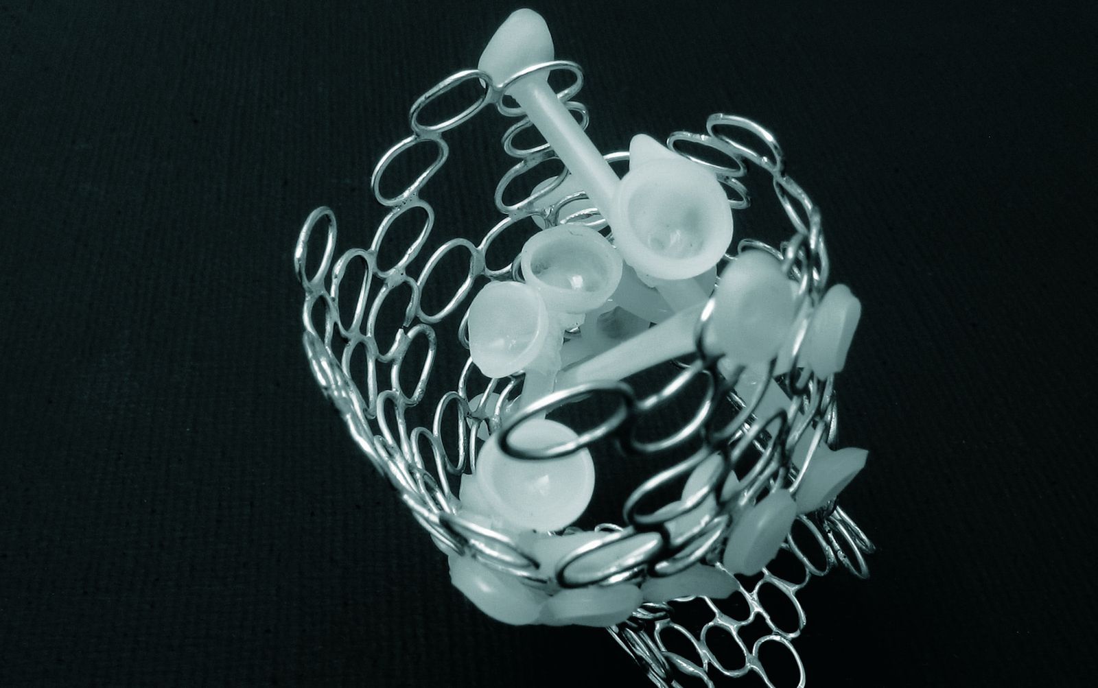 Bague — Evolution, vue 6