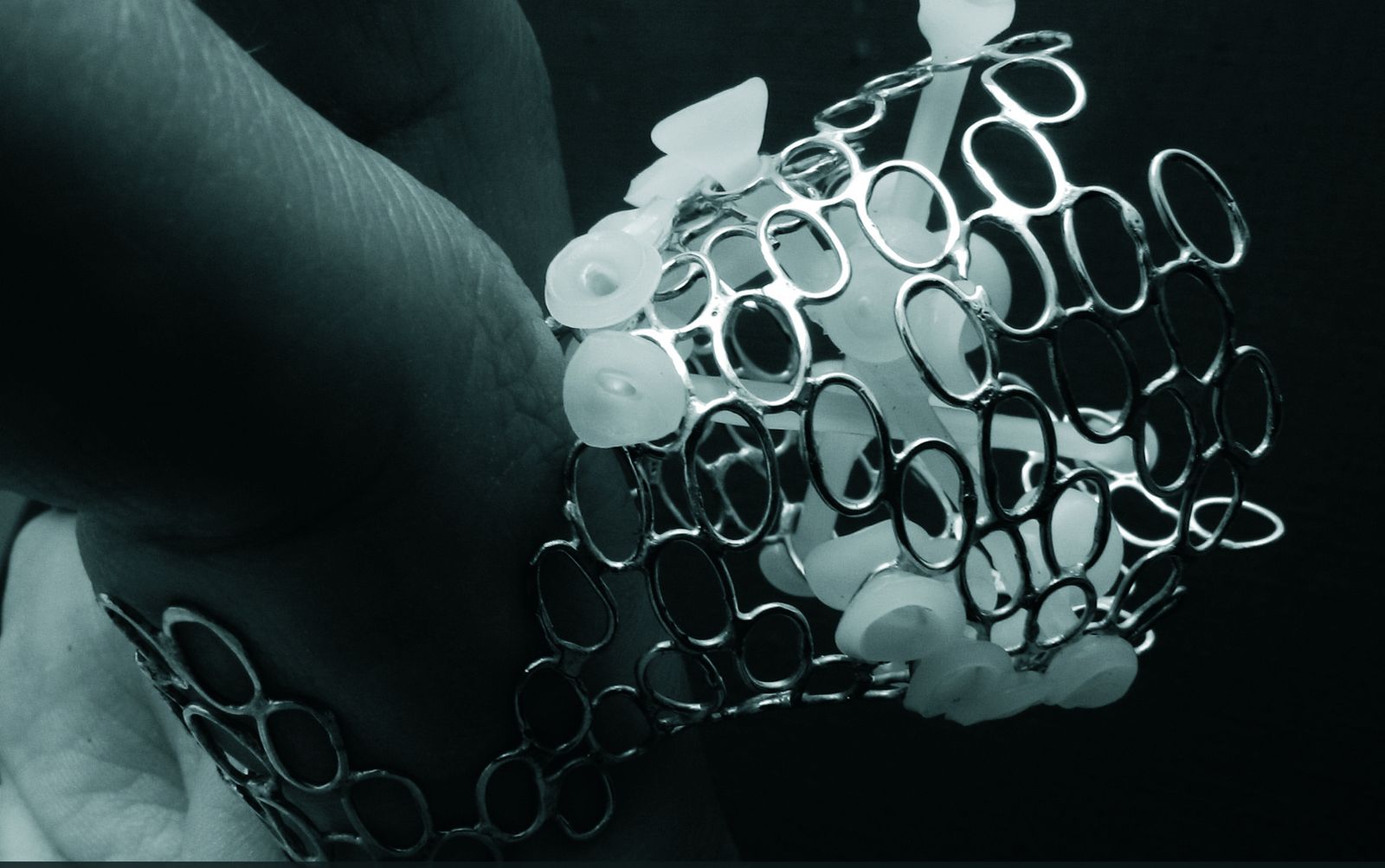 Bague — Evolution, vue 7