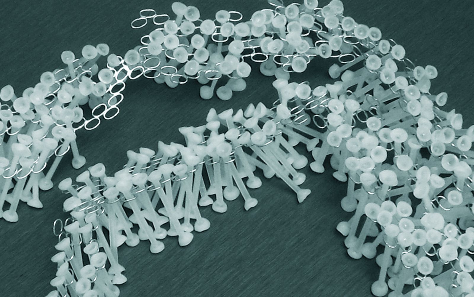 Collier — Evolution, vue 5